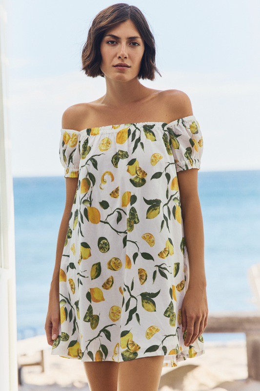 Lina Short Sleeve Cover Up Mini Dress in Slice of Life